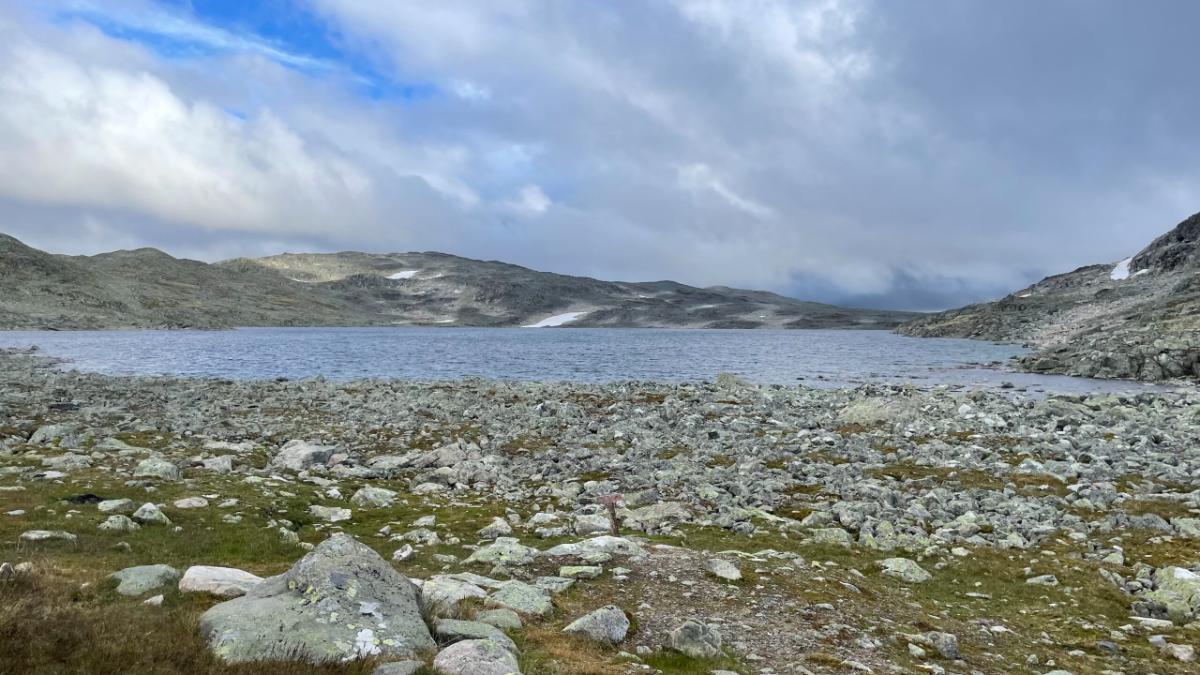 MASSIV Day 11: Breistølen- Bjordalsbu