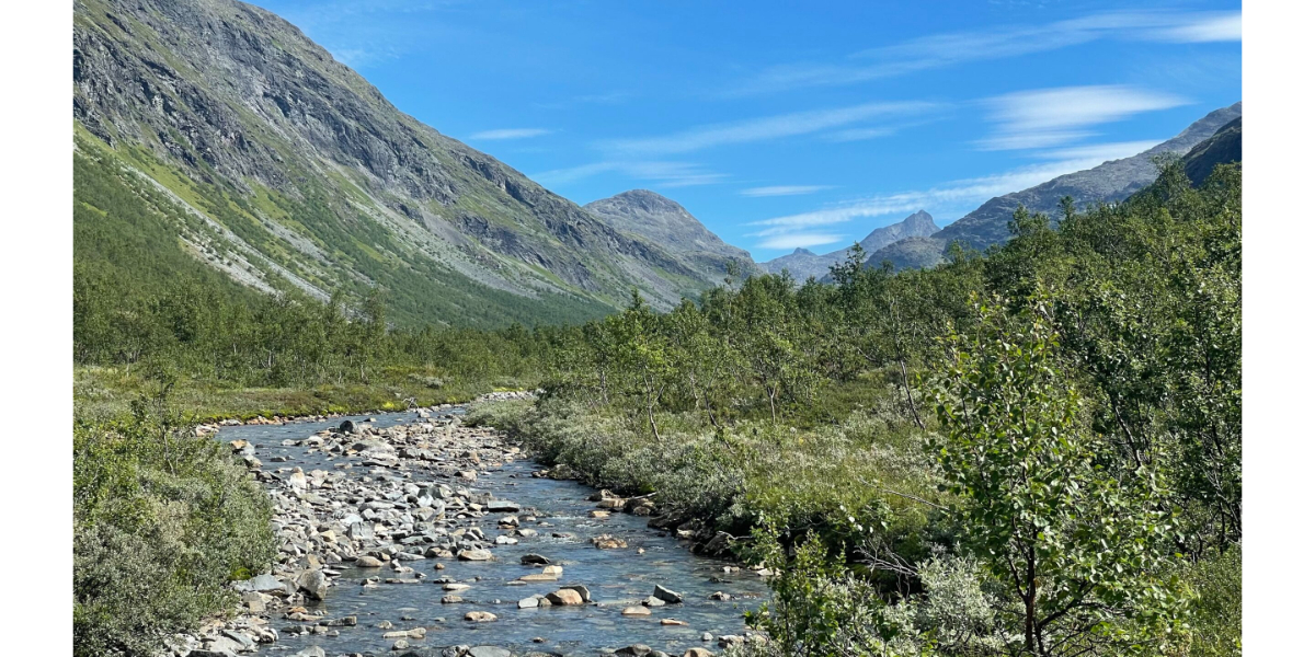 MASSIV Day 6: Rest day Skogadalsbøen