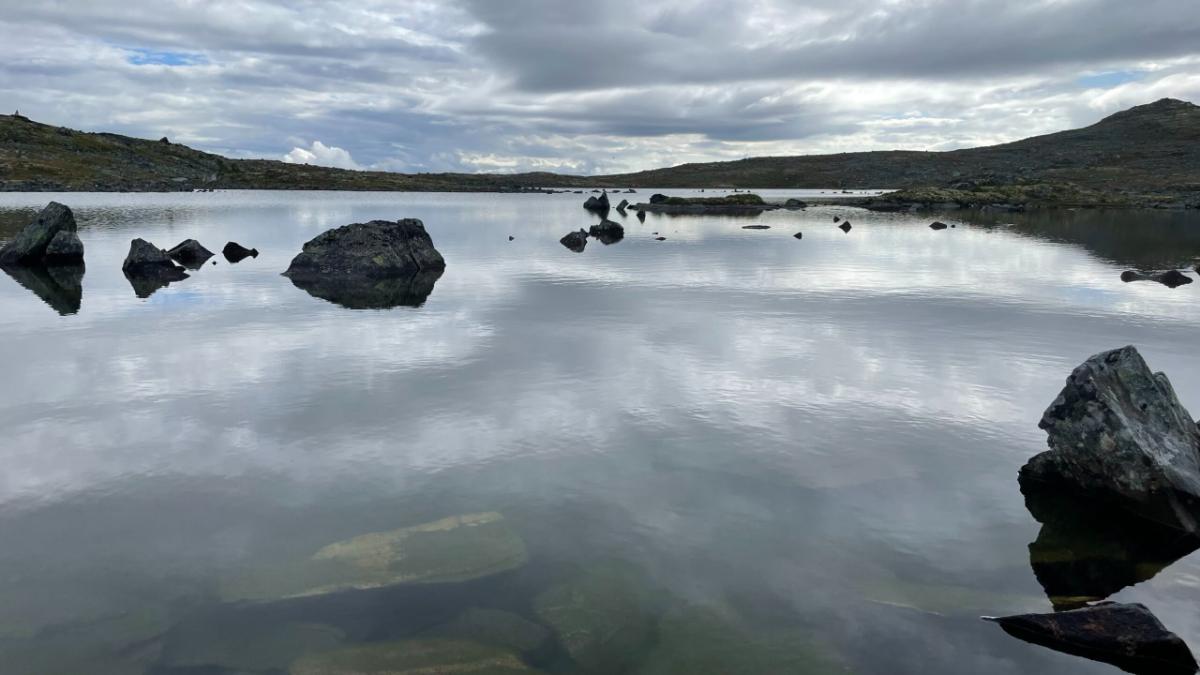 MASSIV Day 8: Fondsbu – Slettningsbu