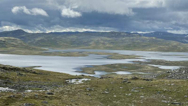 First 500 meters on asphalt in over a week. A few reindeer in the distance.