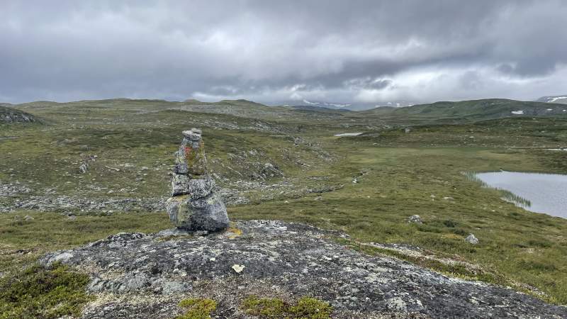 First 500 meters on asphalt in over a week. A few reindeer in the distance.