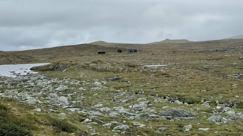 First 500 meters on asphalt in over a week. A few reindeer in the distance.