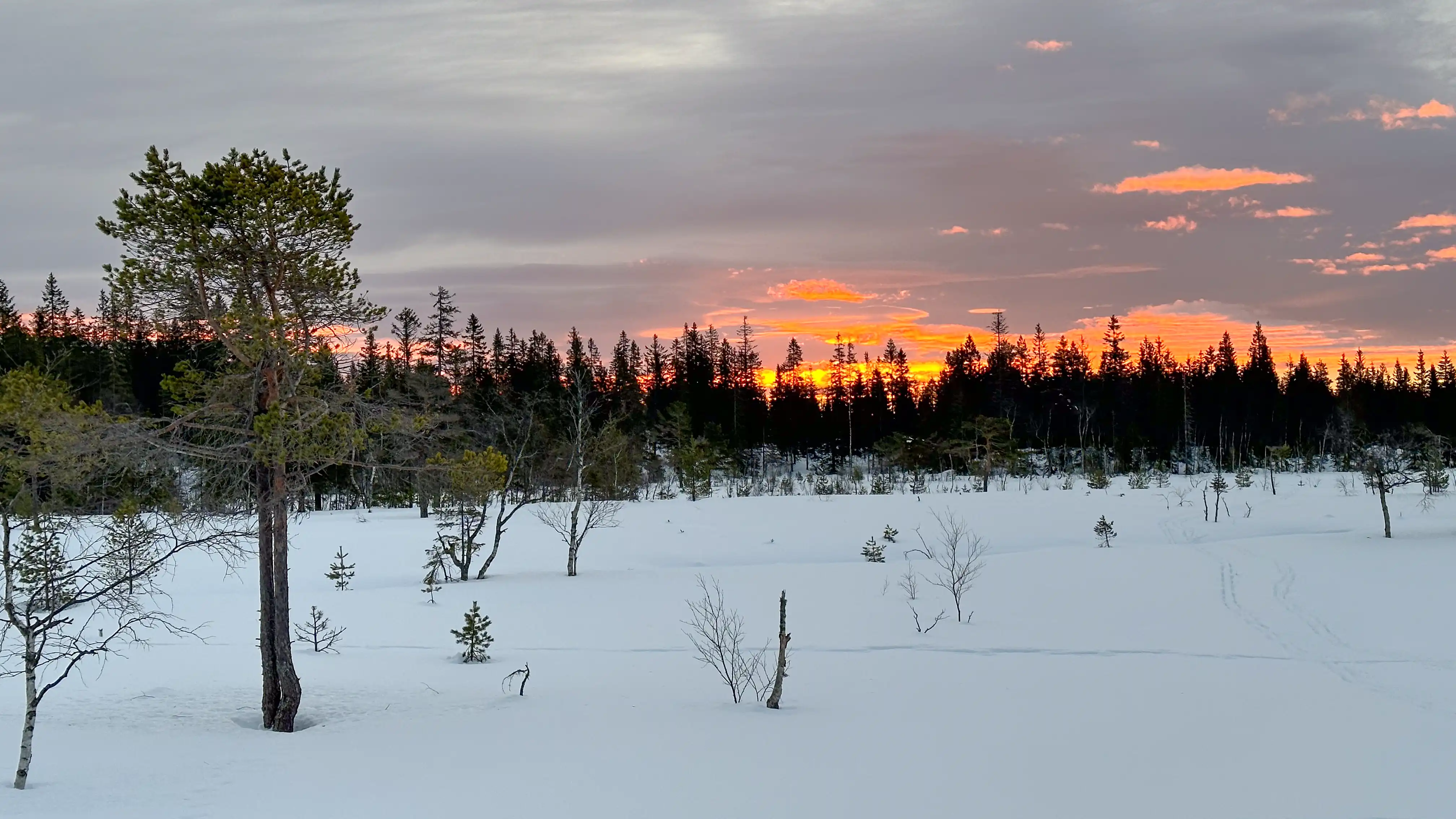 Under a Clear Blue Sky
