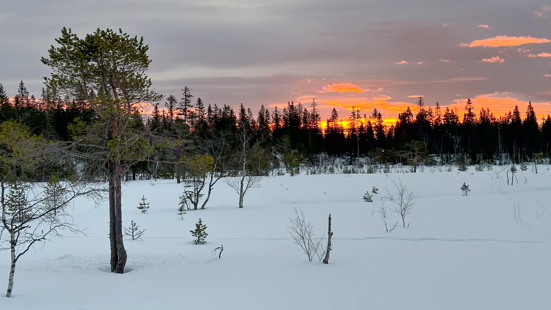 Under a Clear Blue Sky