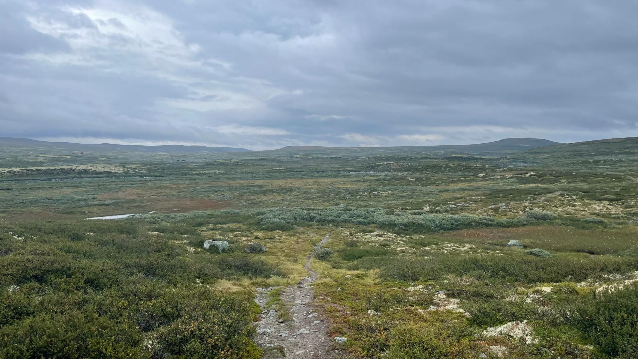 Hardangervidda is a bit monotonous